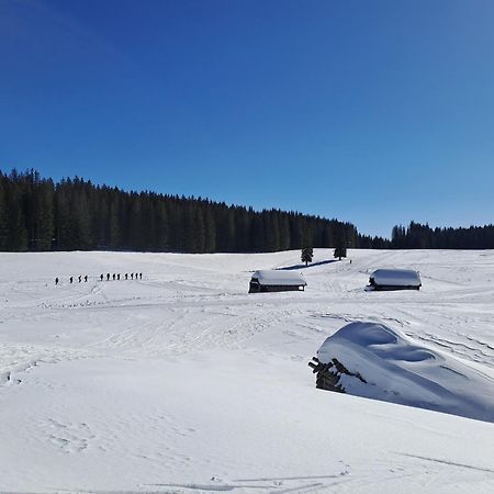 Villa Pokljuka Zgornje Gorje Eksteriør billede