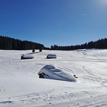 Villa Pokljuka Zgornje Gorje Eksteriør billede
