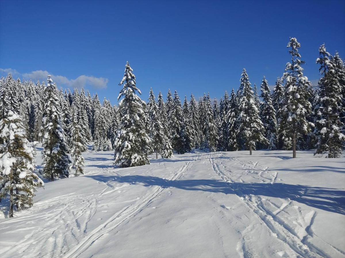 Villa Pokljuka Zgornje Gorje Eksteriør billede