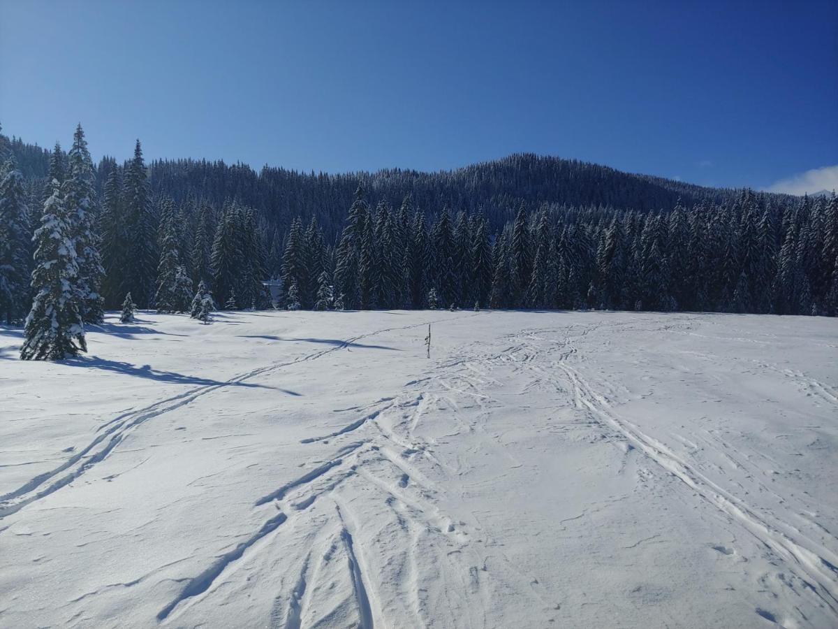 Villa Pokljuka Zgornje Gorje Eksteriør billede