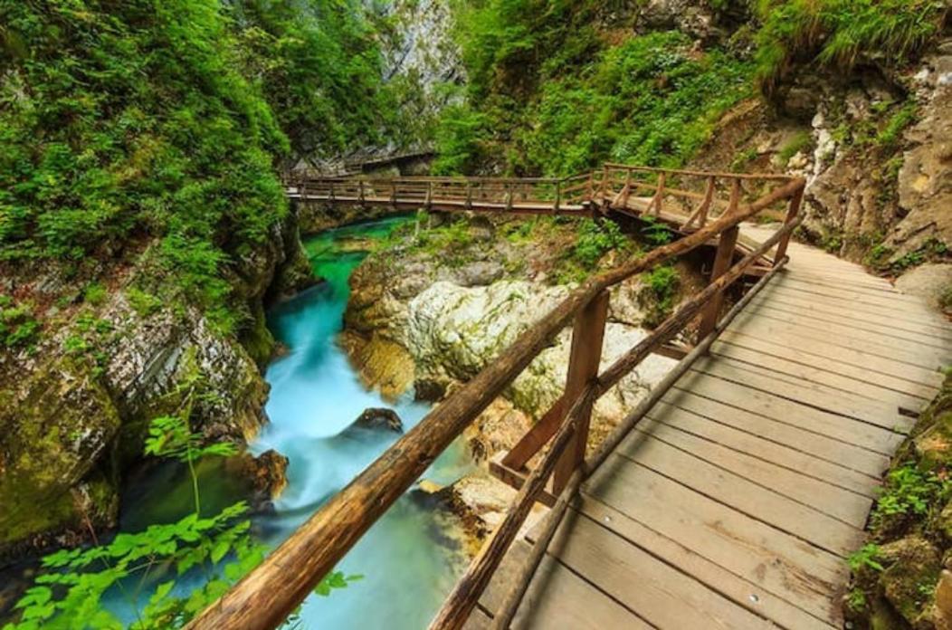 Villa Pokljuka Zgornje Gorje Eksteriør billede