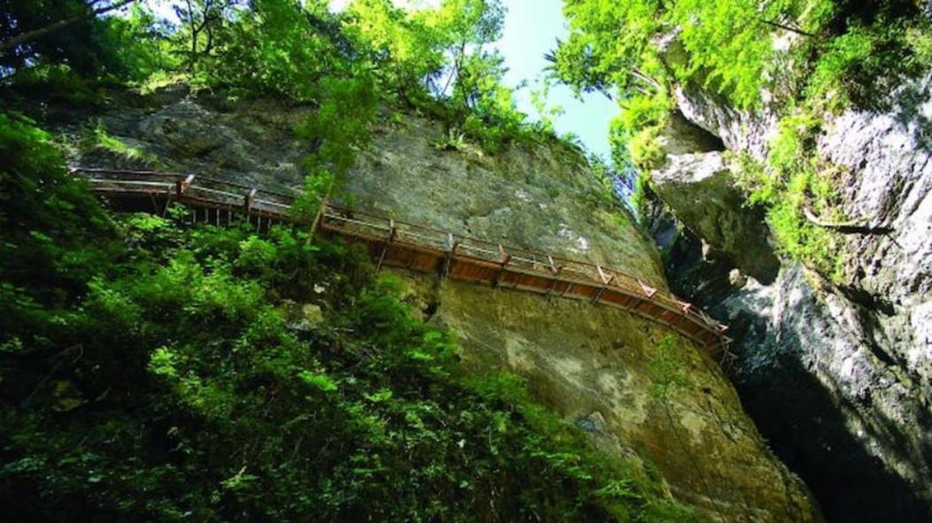 Villa Pokljuka Zgornje Gorje Eksteriør billede