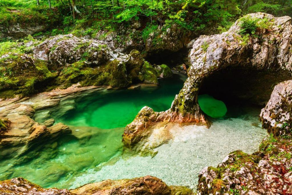 Villa Pokljuka Zgornje Gorje Eksteriør billede
