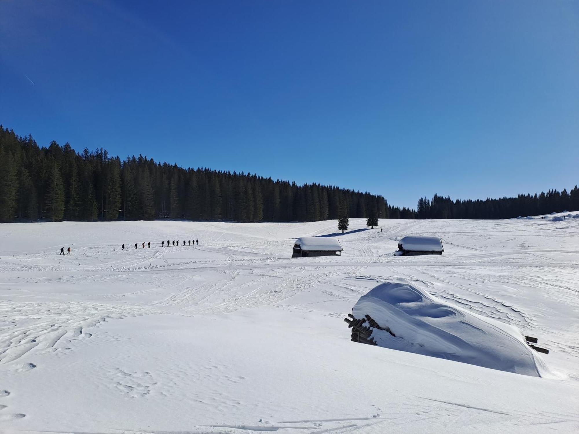 Villa Pokljuka Zgornje Gorje Eksteriør billede