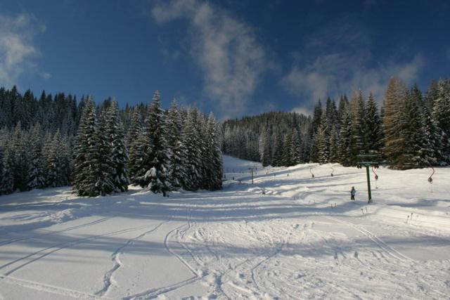 Villa Pokljuka Zgornje Gorje Eksteriør billede