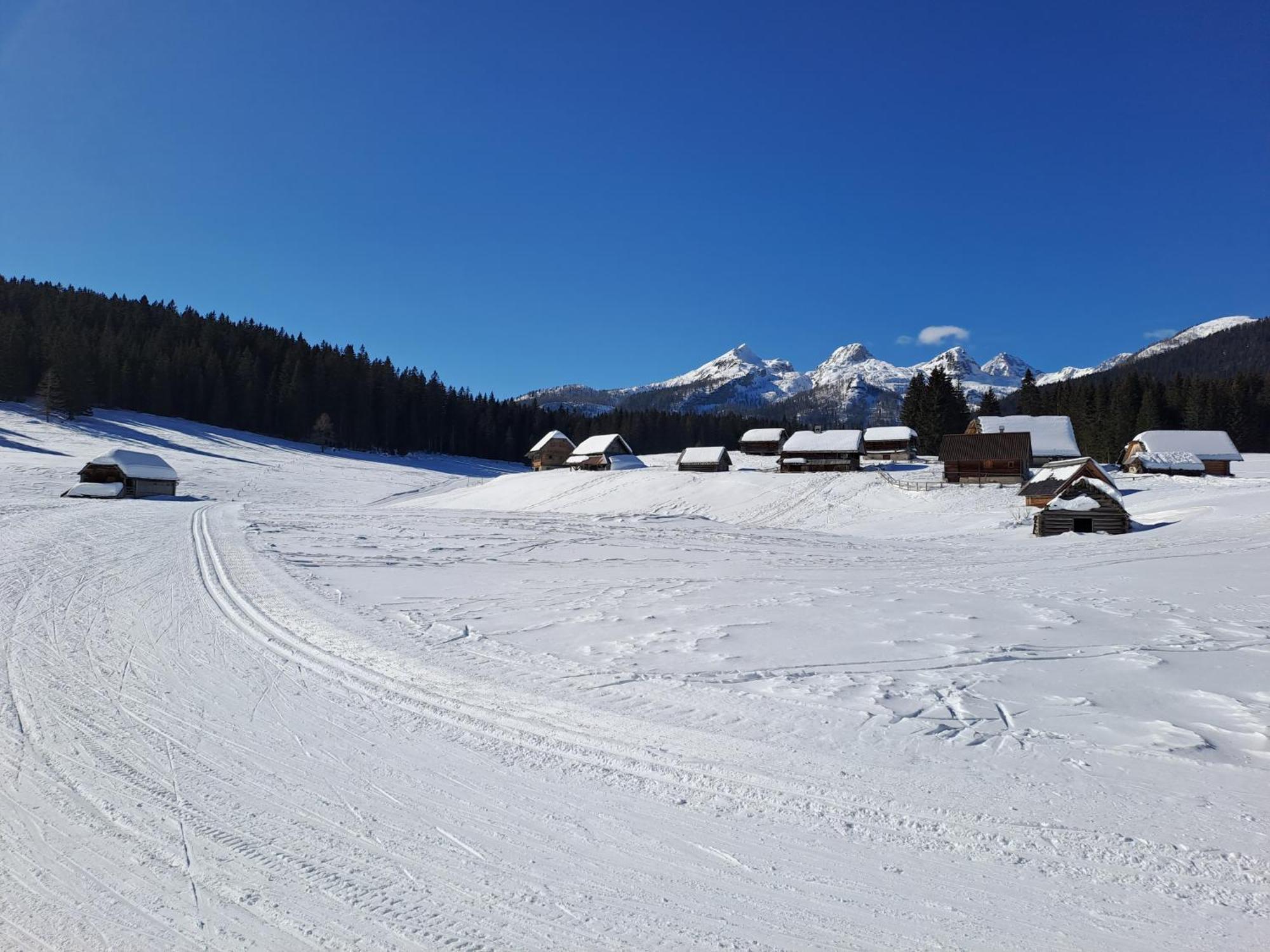 Villa Pokljuka Zgornje Gorje Eksteriør billede