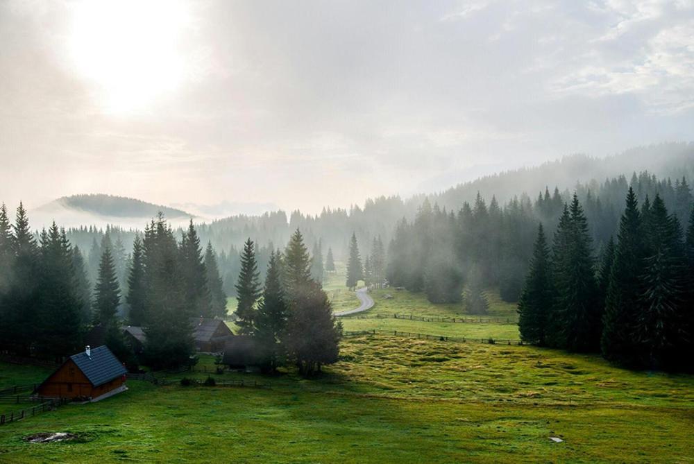 Villa Pokljuka Zgornje Gorje Eksteriør billede