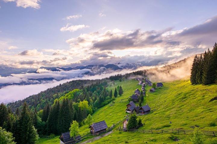 Villa Pokljuka Zgornje Gorje Eksteriør billede