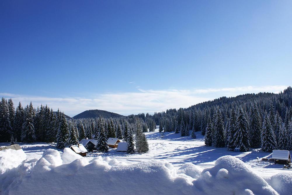 Villa Pokljuka Zgornje Gorje Eksteriør billede