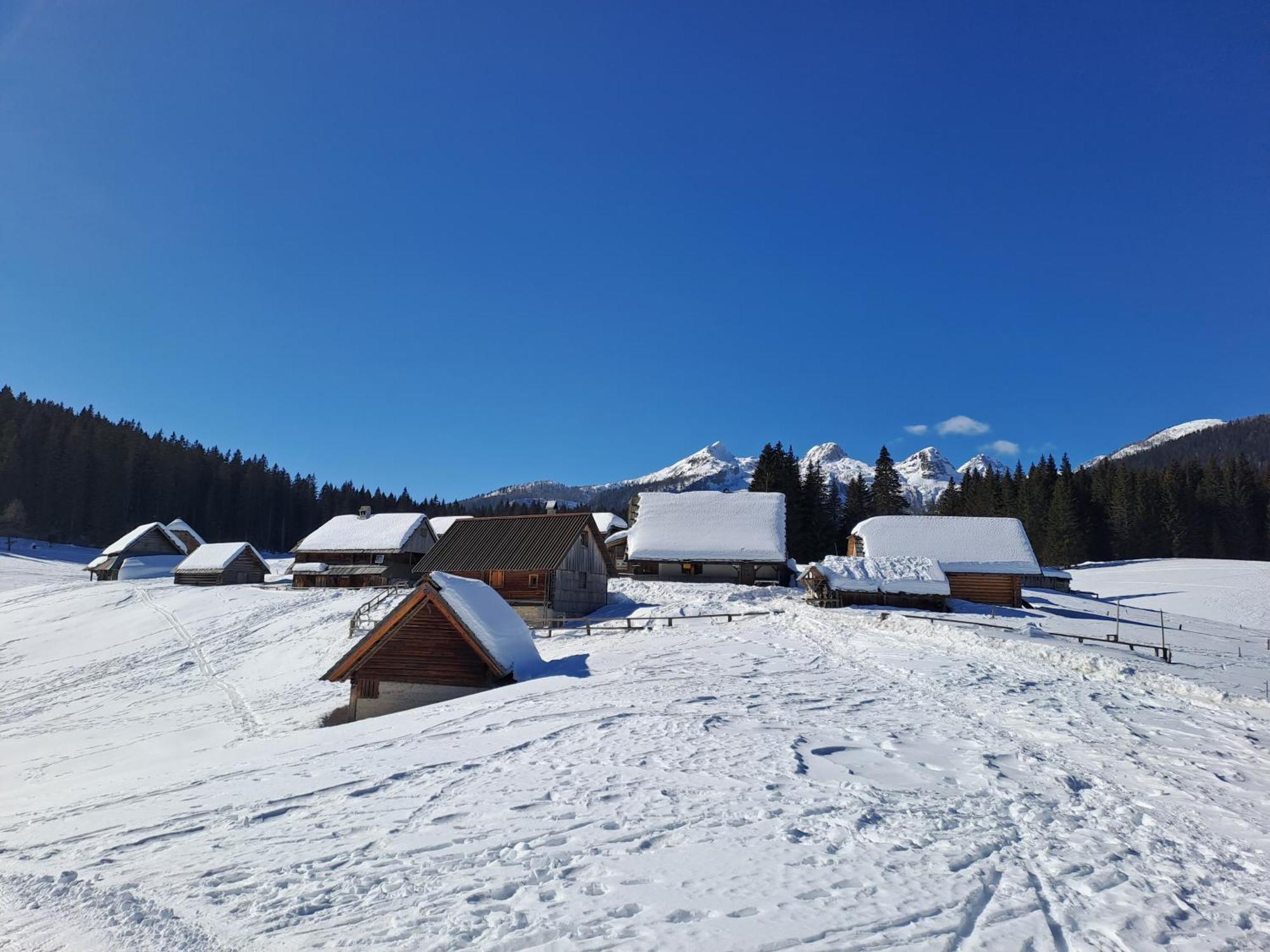 Villa Pokljuka Zgornje Gorje Eksteriør billede